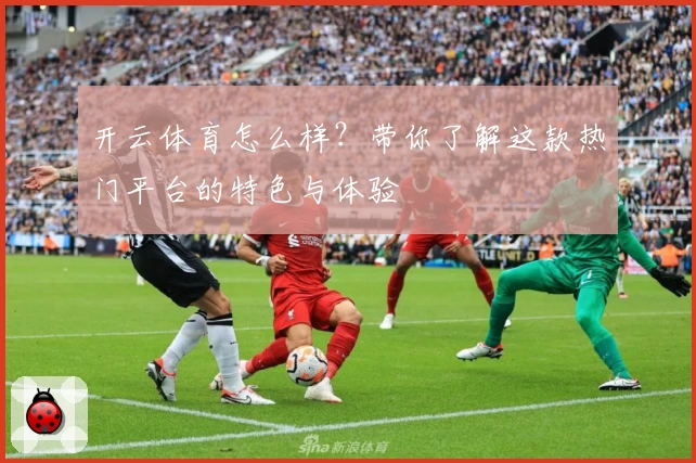 开云体育怎么样？带你了解这款热门平台的特色与体验